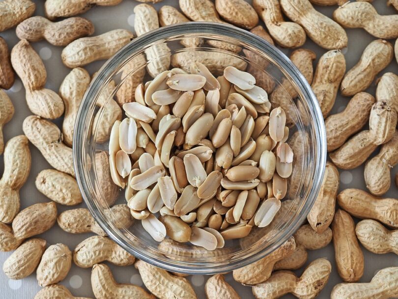 high protein recipes