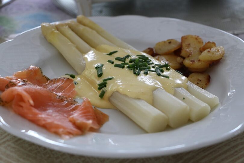 daily meal ideas