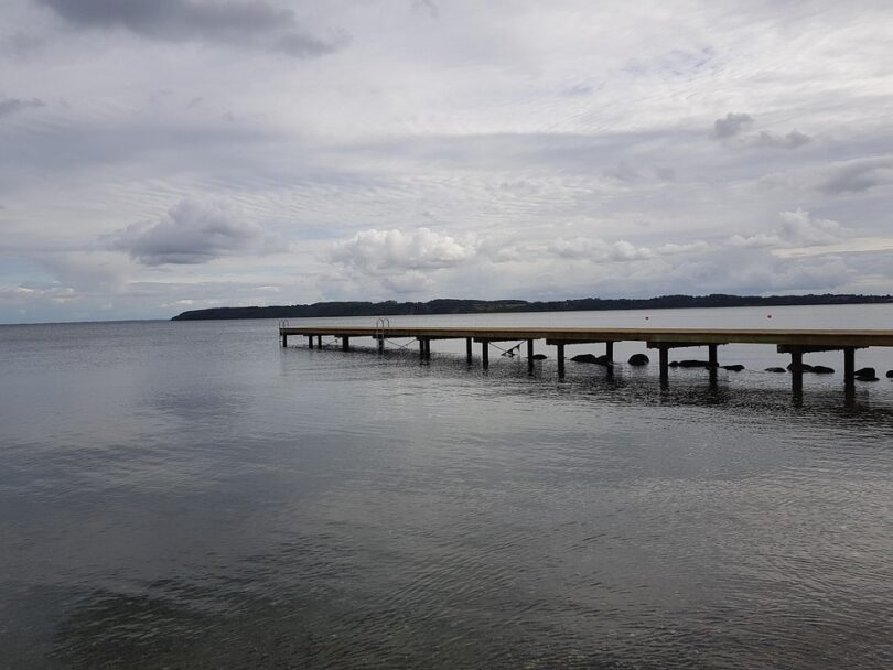 denmark web development