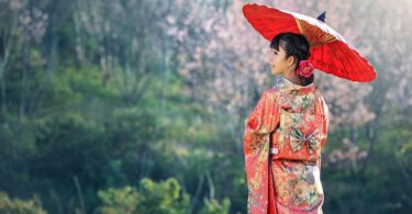 japan traditional inns