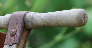 entertainment brands