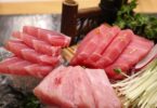 tuna recipes