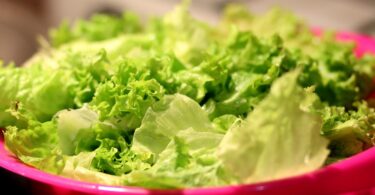 vitamin rich recipes