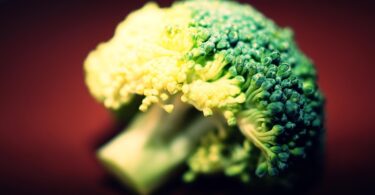broccoli recipes
