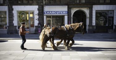 copenhagen street food