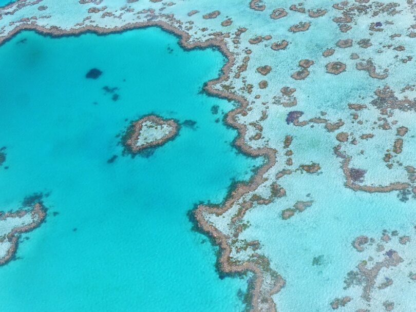 great barrier reef tours