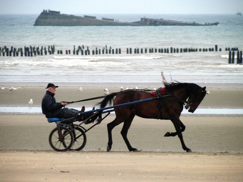 normandy beaches