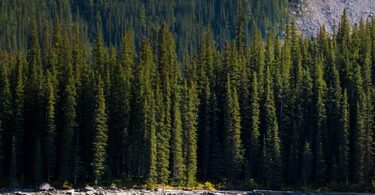 banff national park travel