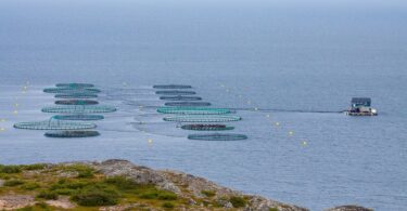 norway gaming industry