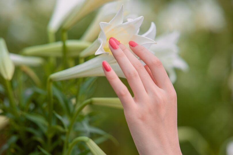 manicure ideas