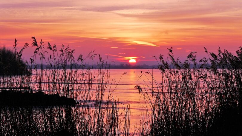 netherlands cloud computing