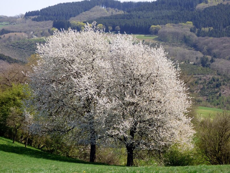 business in Luxembourg