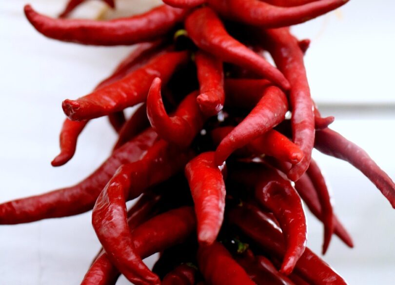 Mexican recipes
