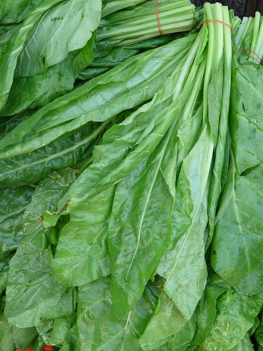 spinach recipes
