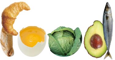 protein for athletes