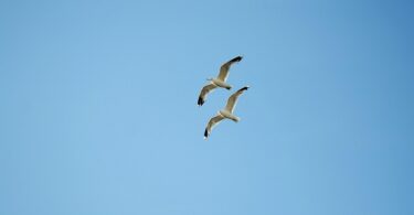 denmark cloud computing