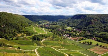 france gaming industry