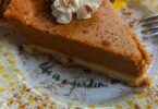 pumpkin pie recipes