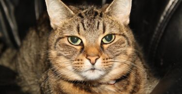 best hotel in denmark