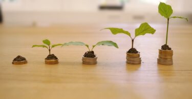 small business loans