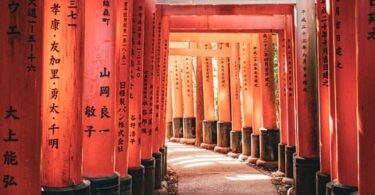 kyoto travel guide