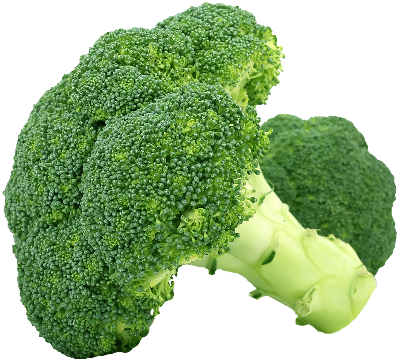broccoli recipes